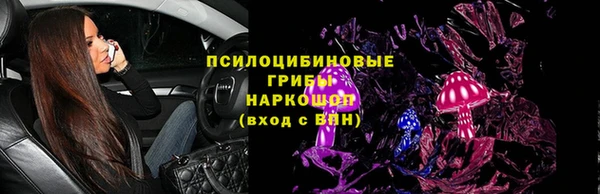 эйфоретик Алзамай