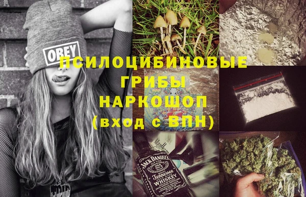 крисы Алексеевка
