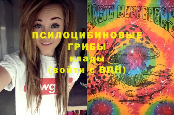 круглые Алексин
